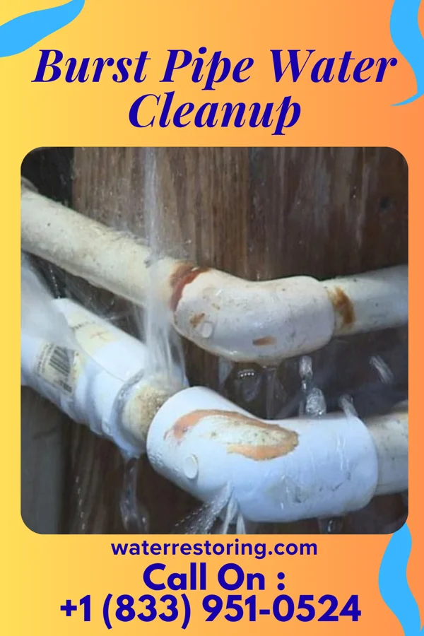 Burst Pipe Water Cleanup in Bargaintown, NJ