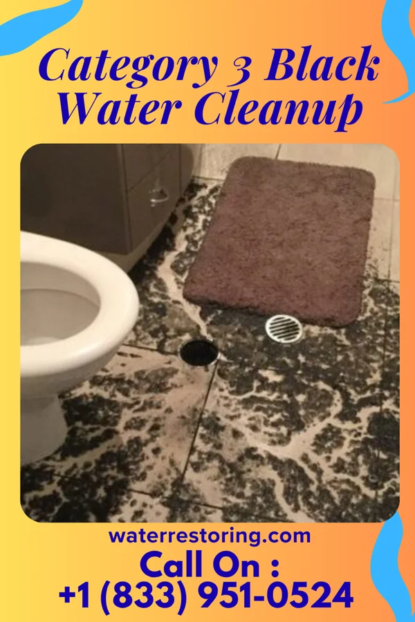 Category 3 Black Water Cleanup in Bargaintown, NJ