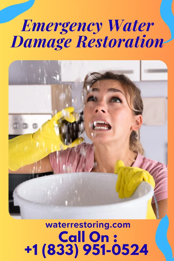 Emergency Water Damage Restoration in Bargaintown, NJ