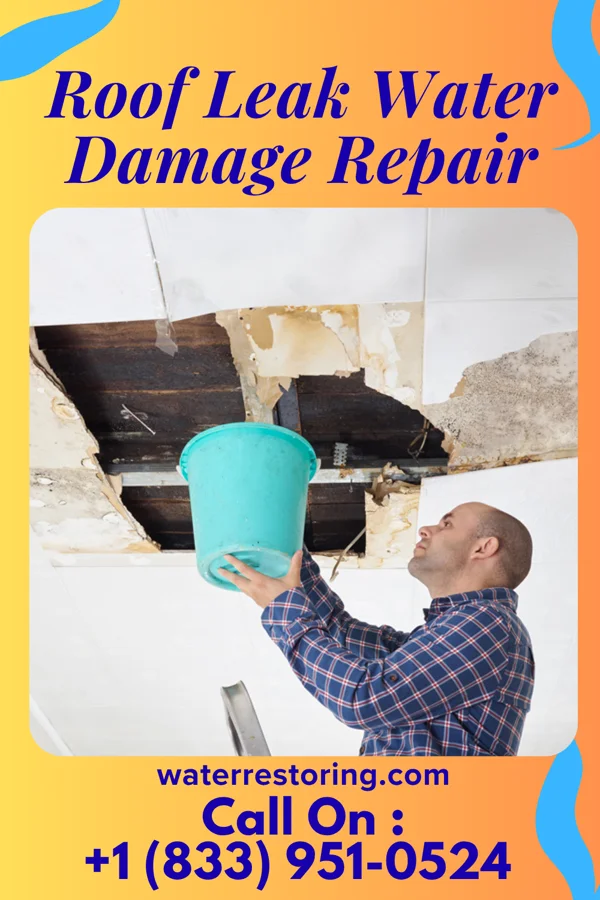 Roof Leak Water Damage Repair in Bargaintown, NJ