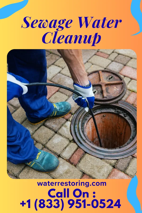 Sewage Water Cleanup in Bargaintown, NJ